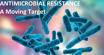 Globalization and Antimicrobial Resistance: A Moving Target