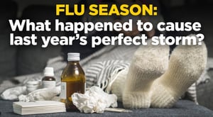 2017 Flu Season