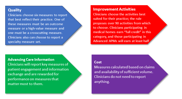 MIPS Performance Categories